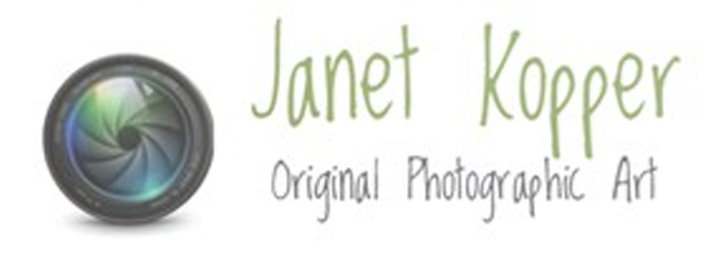 Janet Kopper - Artist Website